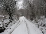 IMG_8295.JPG