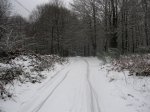 IMG_8298.JPG