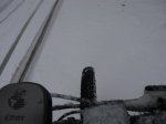 IMG_8300.JPG