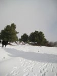 Foto 016.JPG