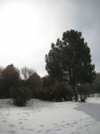 Foto 018.JPG