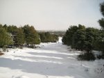 Foto 026.JPG