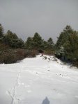 Foto 028.JPG