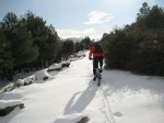 Foto 030.JPG