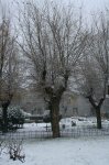 Copia de IMG_0007.JPG