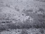 DSC09194.JPG