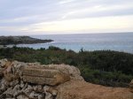 PC070305.jpg
