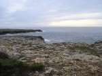 PC070307.jpg