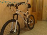 04102008334.jpg