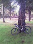 IMAG0055.jpg