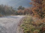 DSC00001.jpg