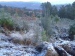 DSC00010.jpg