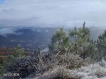 DSC00013.jpg
