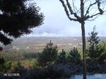 DSC00017.jpg