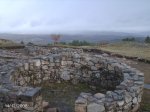 DSC00023.jpg