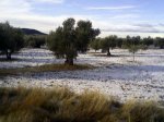 Fotos-0004.jpg