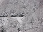 Imagen 032.jpg