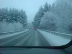 New_DSC00783.jpg