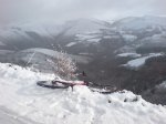 New_DSC00789.jpg