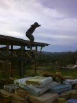 DSC08068.jpg