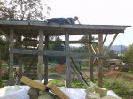 DSC08063.jpg