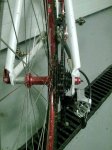 Chainline.jpg