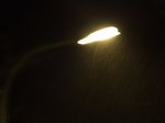 DSCF2588_redimensionar.JPG