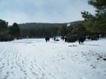 DSCF0188.JPG