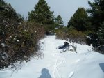 DSCF0192.JPG