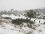 Caminos de la Sierra 2008 076.jpg