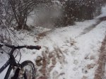 PC140787.jpg