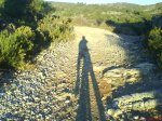 DSC01987.jpg