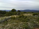 DSC02016.jpg