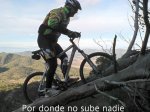 camara viernes 12 (4).jpg