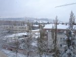 DSC00201.jpg