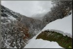 camiÃ±o a devesa de rogueira.jpg