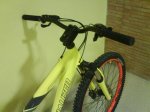 DSC00329.jpg