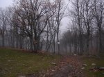 DSC00671.jpg