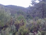 Imagen010.jpg