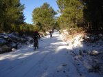 DSC00701.jpg