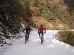 DSC00724.jpg