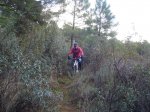 DSC00737.jpg