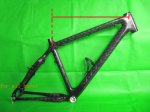 MTB[2].jpg