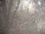 Nadales 011.jpg
