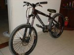 DSC00559.jpg