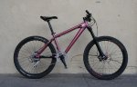 Chameleon pink.jpg