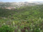 DSC01248.jpg