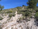 Imagen089.jpg