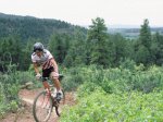 ned_schwinn2.jpeg
