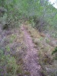 100_4518.jpg